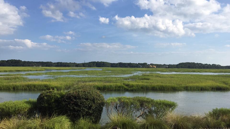 Hilton Head Marshes